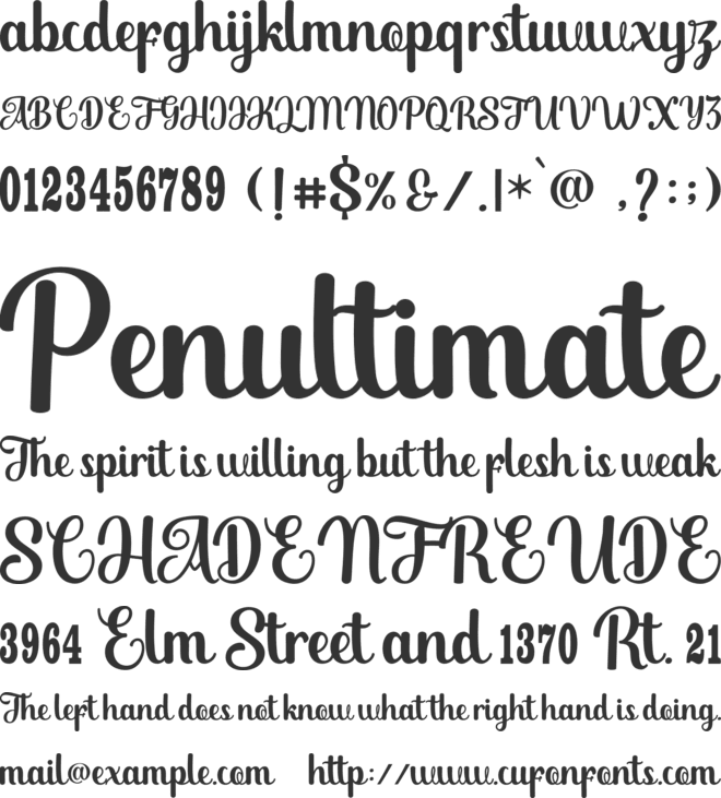 Mandailing script memo font preview