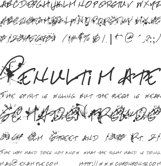 Professional Muse font preview