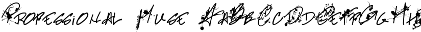 Professional Muse font