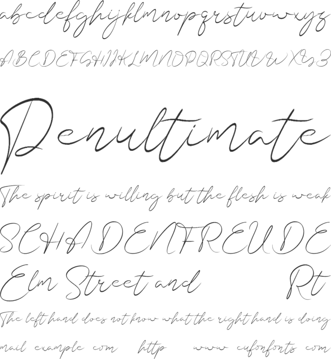 Shasta Daily font preview