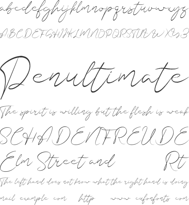 Shasta Daily font preview