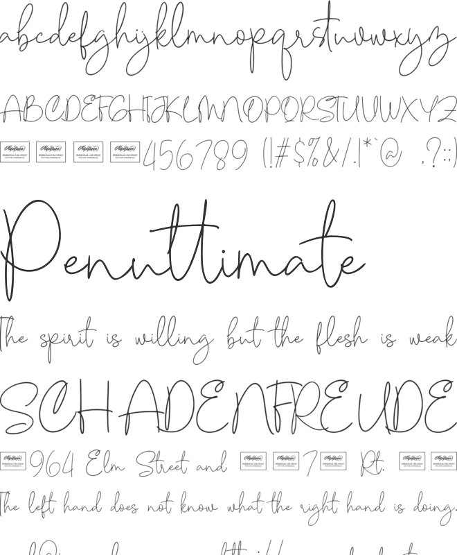 Aesthetic font preview