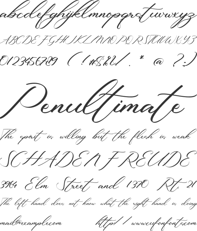 Candice Assheton font preview