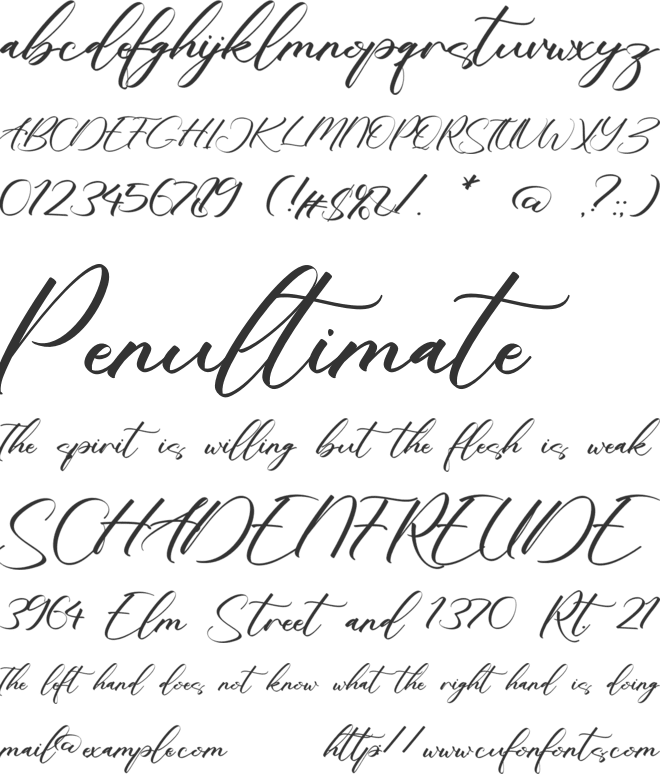 Bernice Ambler font preview