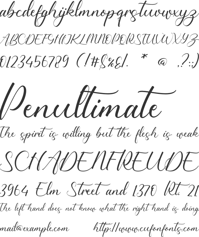 Ainsley Regina font preview
