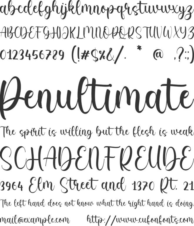 Melanie Randal font preview