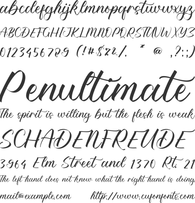 Natasha Malayah font preview