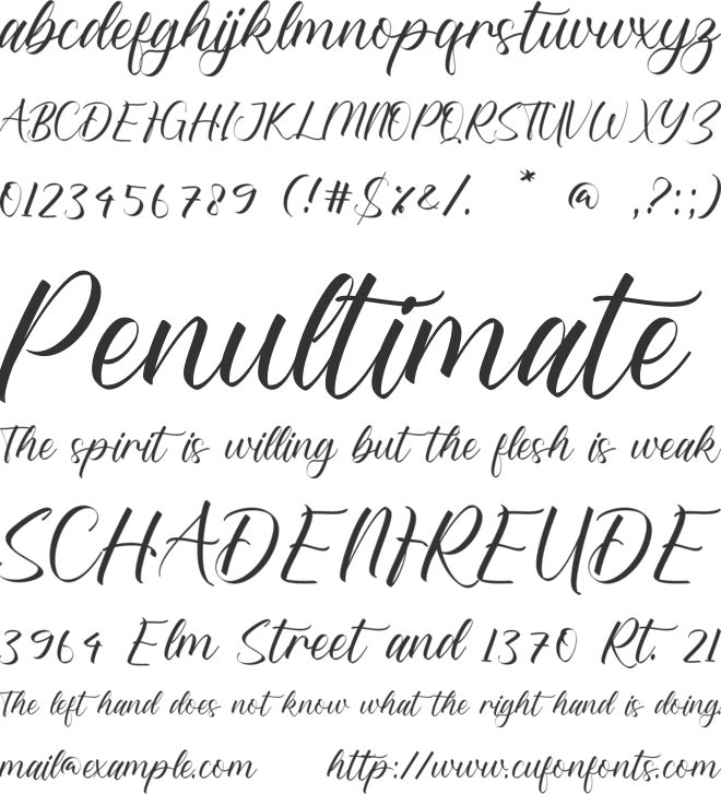 Amelia Virginia font preview