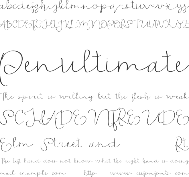 Feliciana Demo font preview