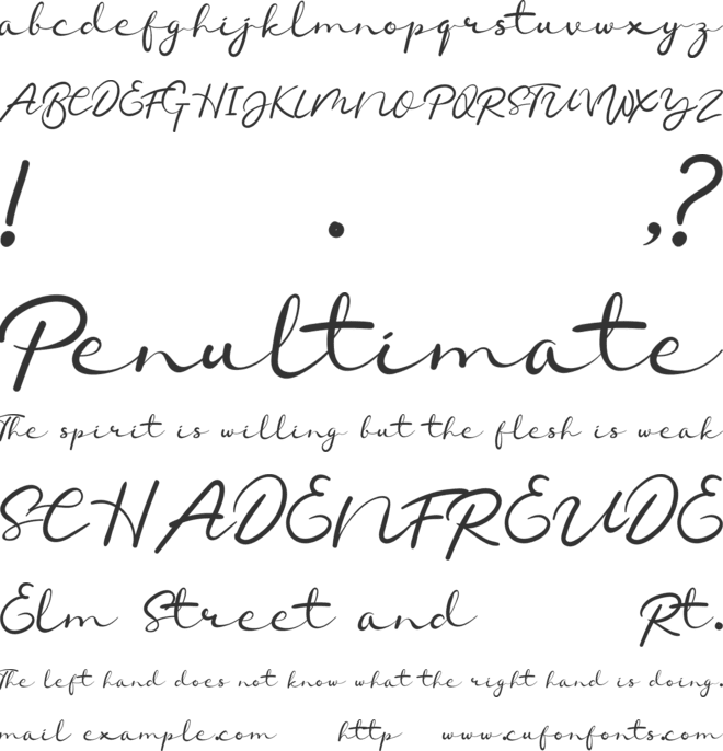 Chamelon font preview