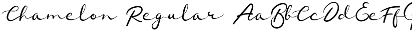 Chamelon font download