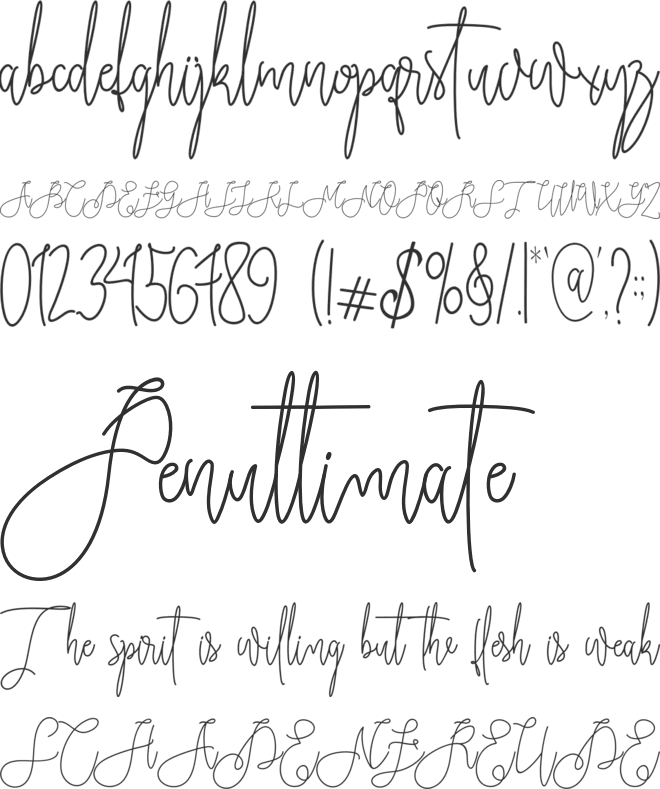 Rieesflomeo font preview