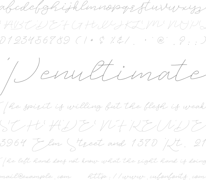 Jet Seat Script font preview