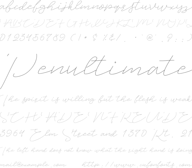 Jet Seat Script font preview