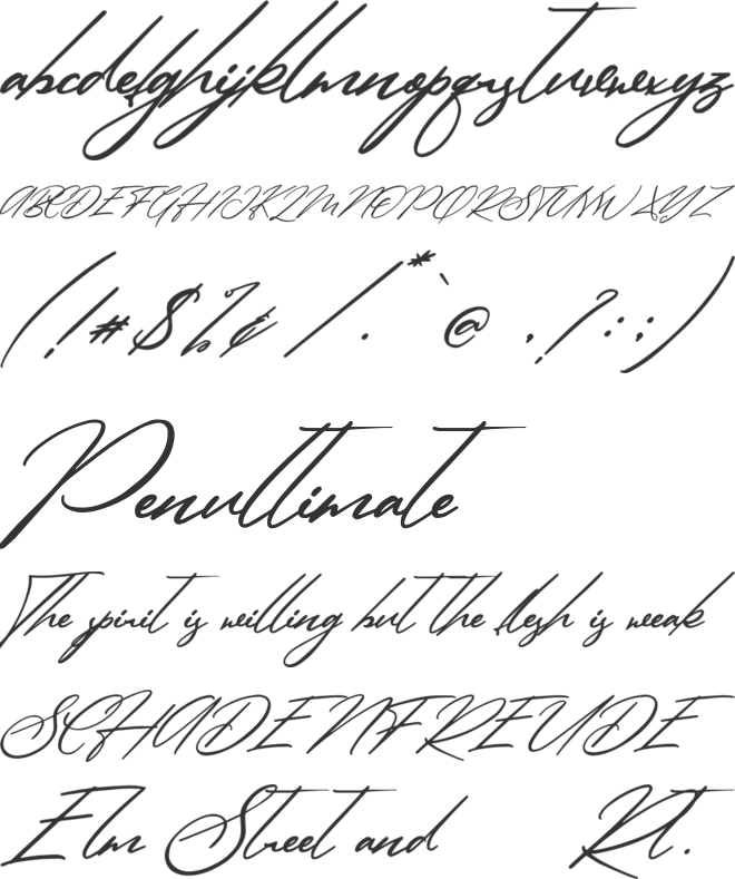 Simanice  Demo font preview