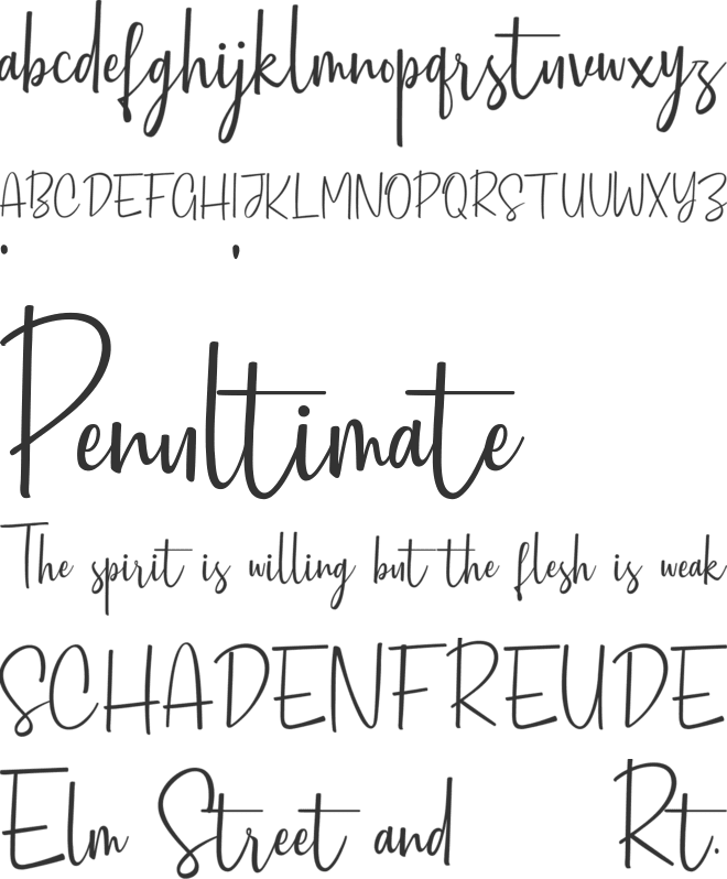 Sofiebestin Script font preview