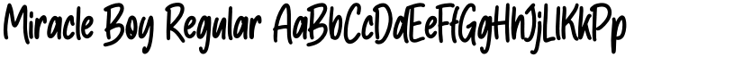 Miracle Boy Regular font