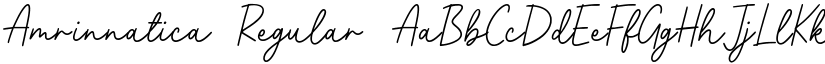 Amrinnatica font download