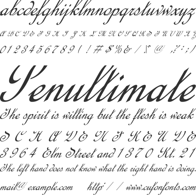 Calligraphy Script font preview