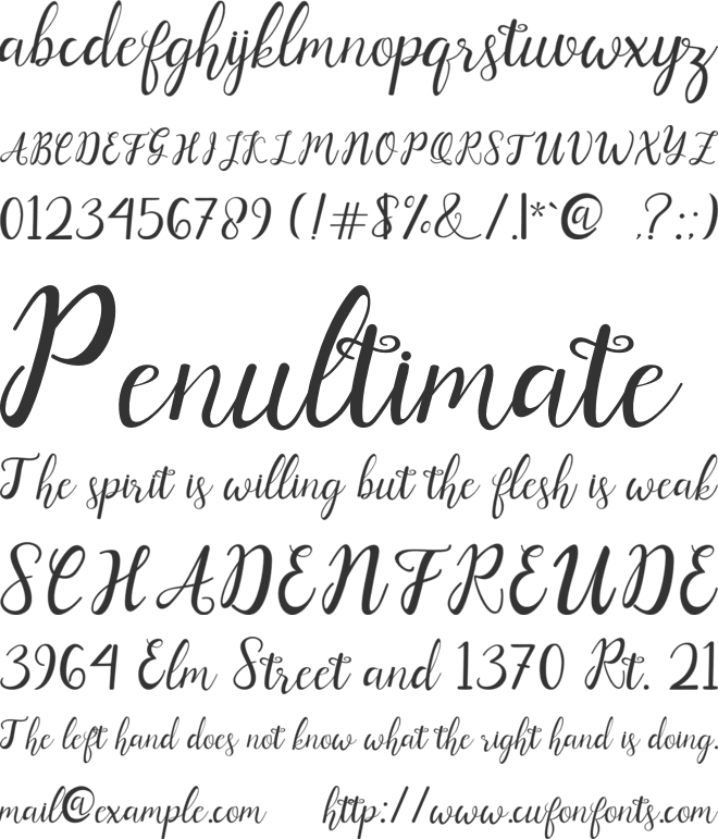 Ashadiya font preview