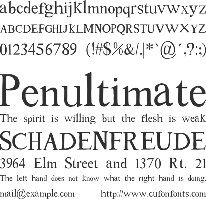 Tom's New Roman" font preview