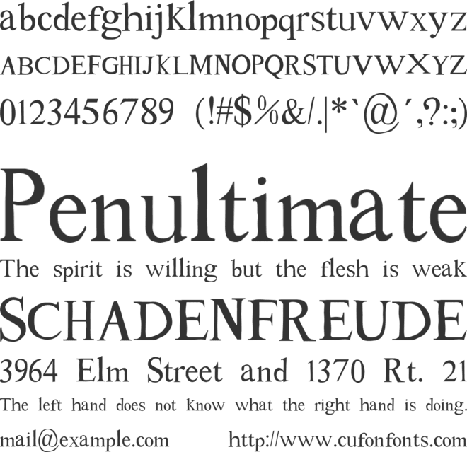 Tom's New Roman" font preview