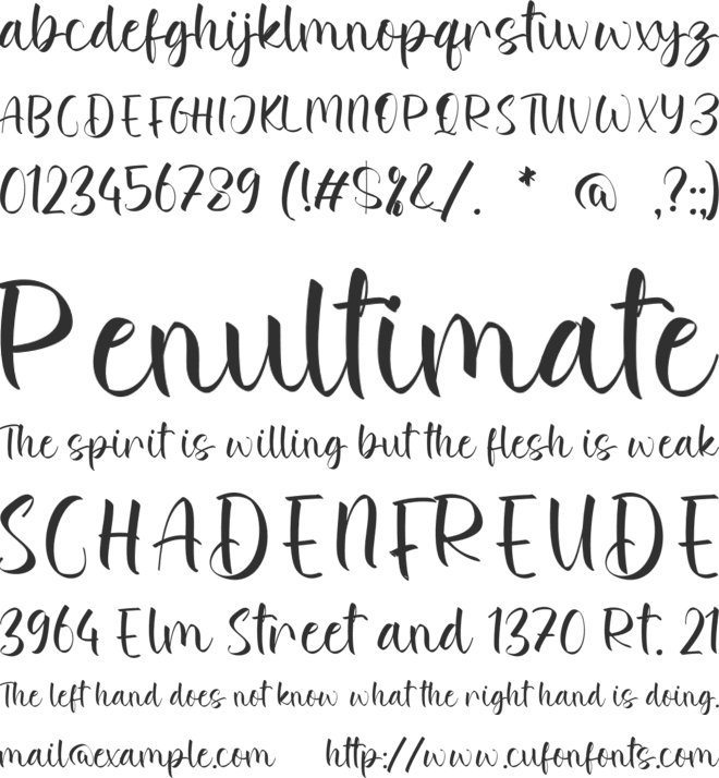 Kassidy Marlie font preview