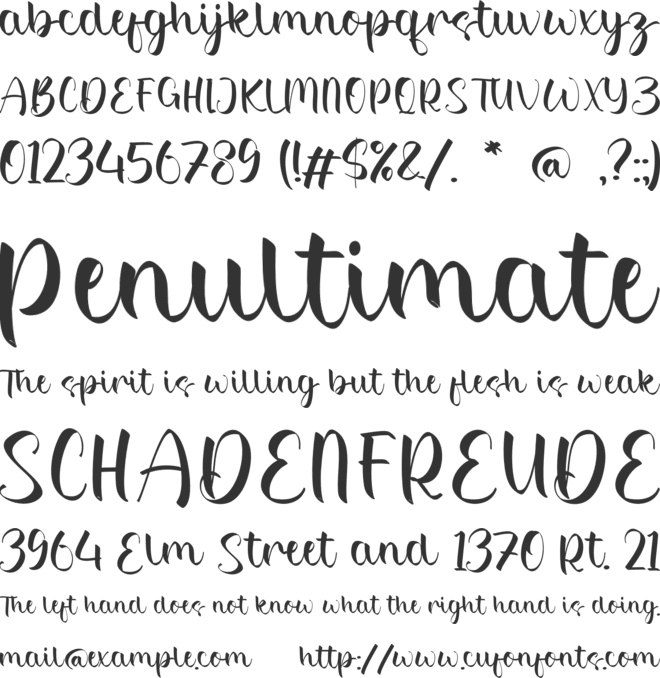 Alejandra font preview