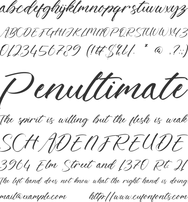 Natasha Joyce font preview