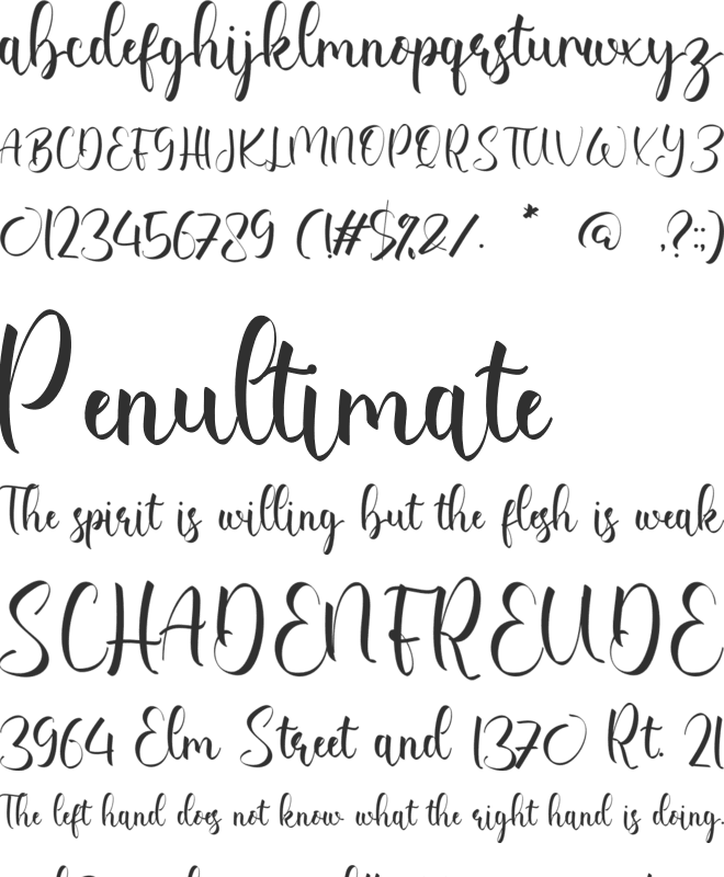 Emberly Charley font preview