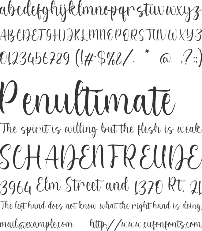 Samara Ainsley font preview