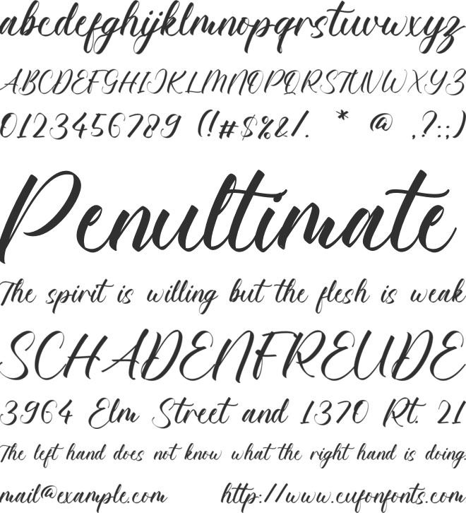 Meadow Cameron font preview