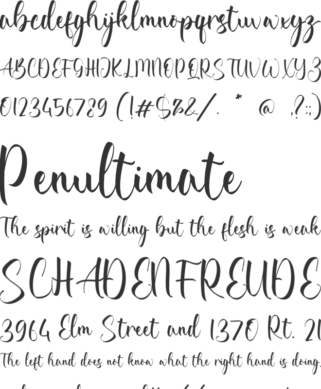 Della Elsa font preview