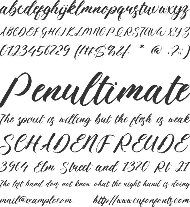 Aislinn font preview