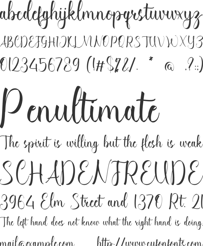 Cataleya Makenna font preview