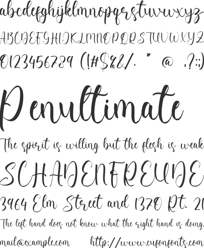 Cataleya Maisie font preview