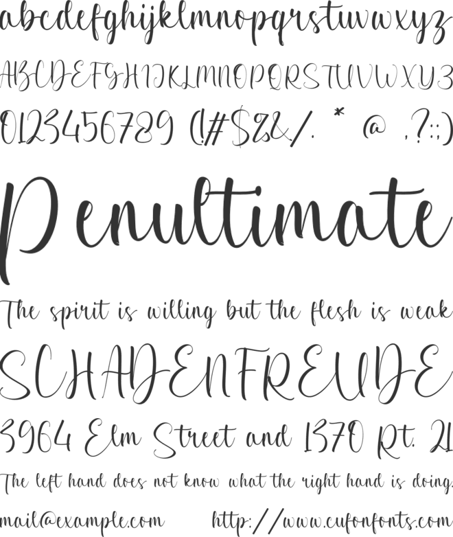 Davies Vanessa font preview