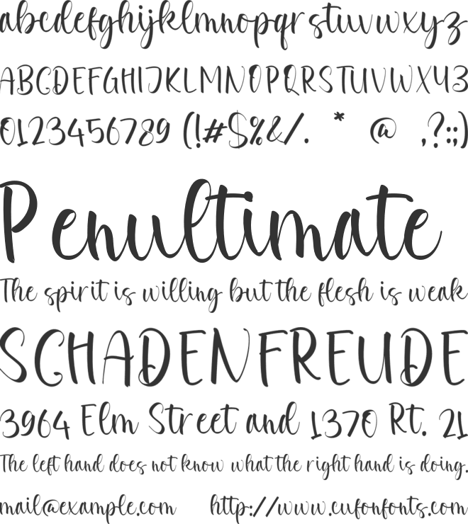 Bella Sanderson font preview
