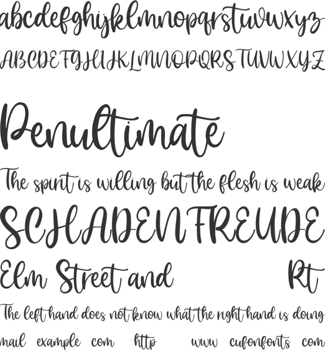 Scarlette font preview
