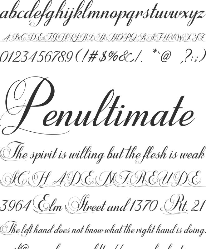 Shannia font preview