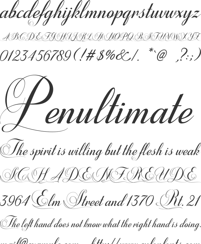 Shannia font preview