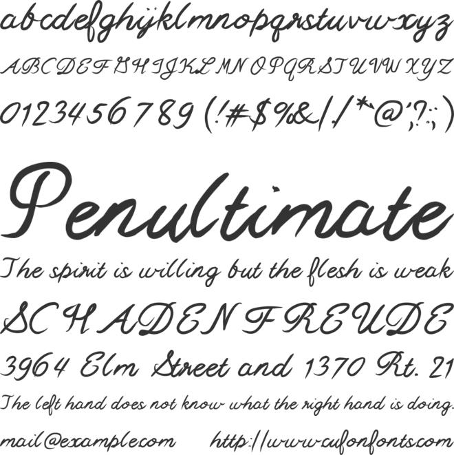 MixSwift font preview