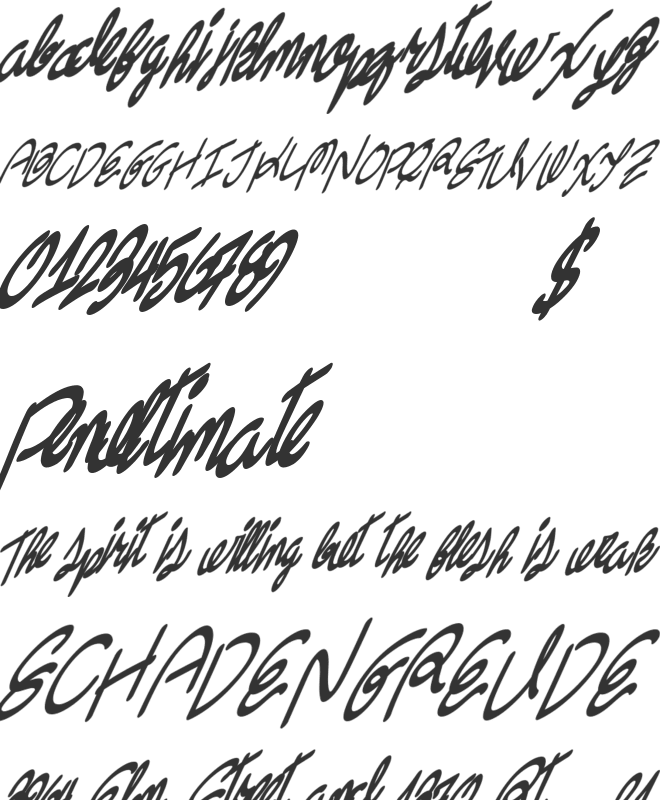 Swingers font preview