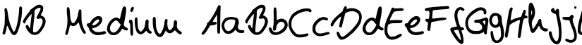 NB Medium font