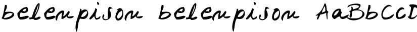 belenpison belenpison font