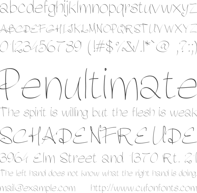 PWFluidhand font preview