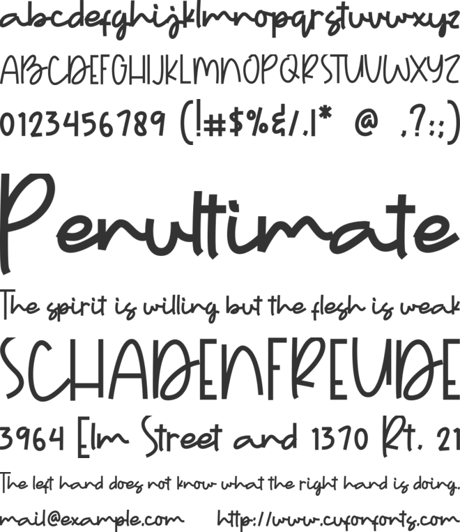 Every Tuesday font preview