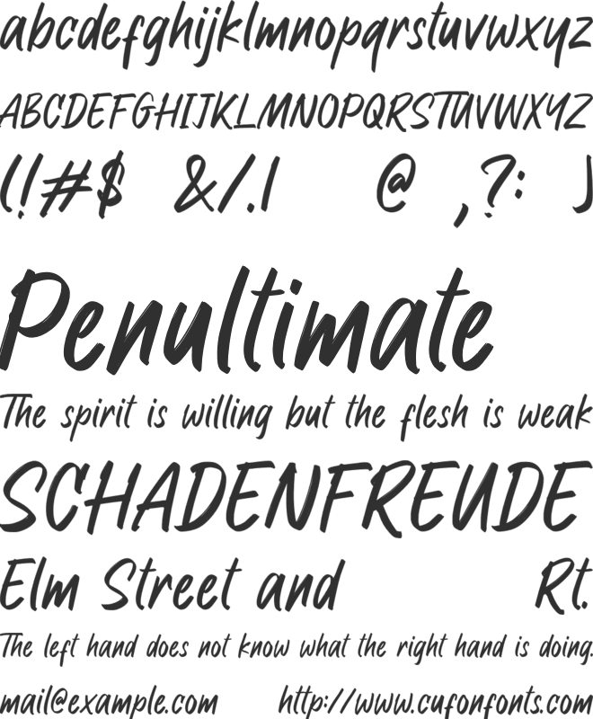 Raymond Signature font preview