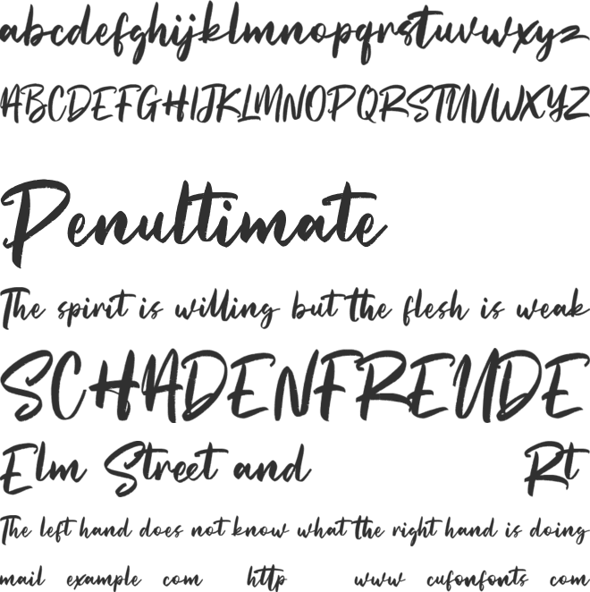 Straightfast Free font preview