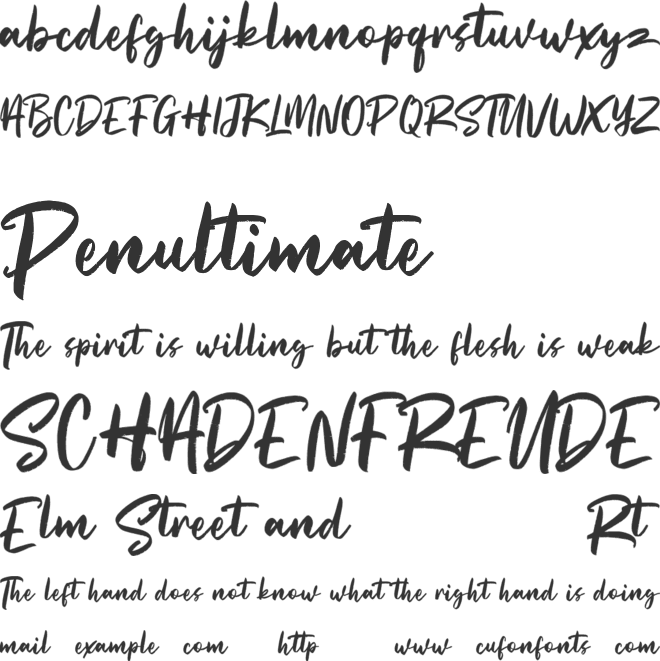 Straightfast Free font preview